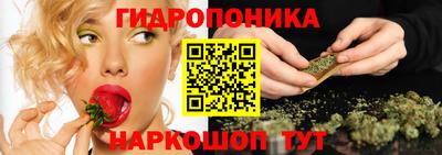 a pvp Беслан