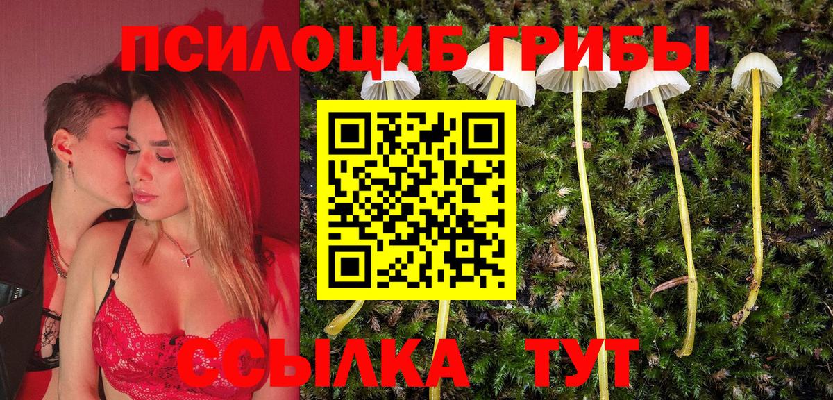 Кириши  Псилоцибиновые грибы MAGIC MUSHROOMS  Вход с VPN 